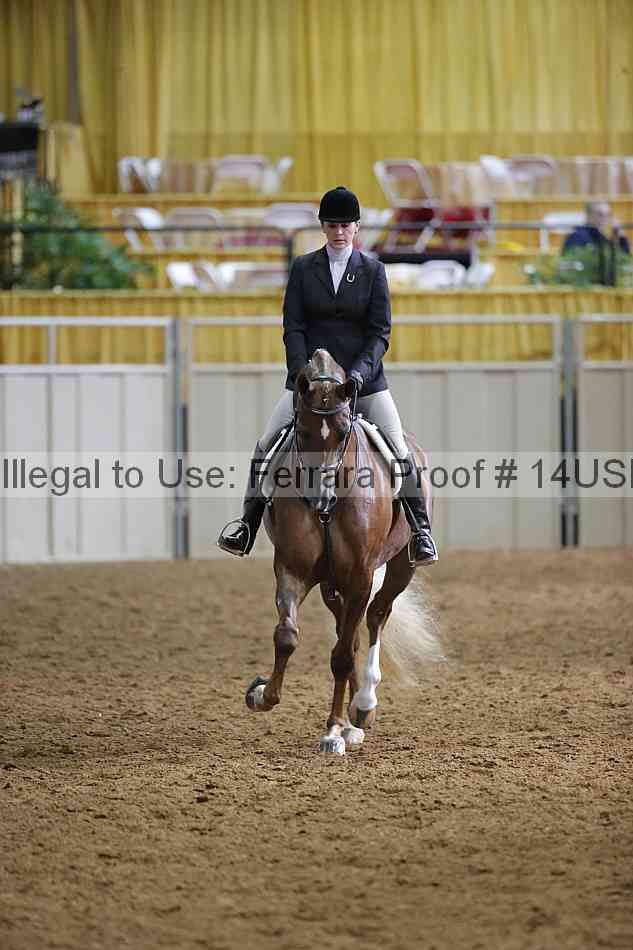 Proof 14usn_20799