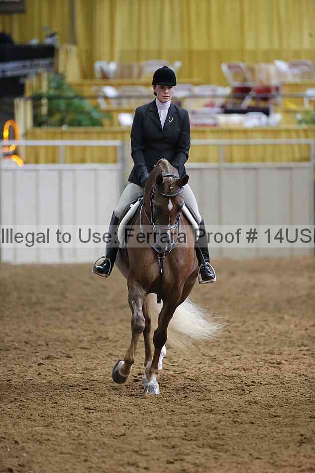 Proof 14usn_20801