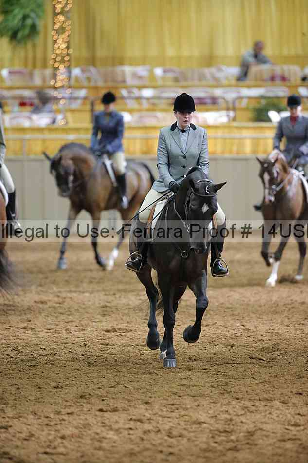 Proof 14usn_20803