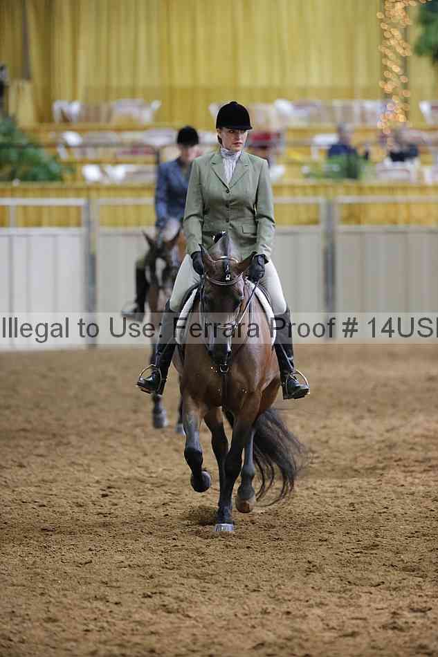 Proof 14usn_20804