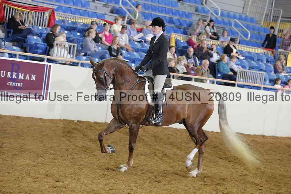 Proof 14usn_20809