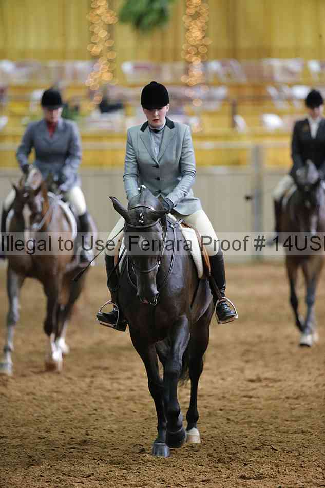 Proof 14usn_20816