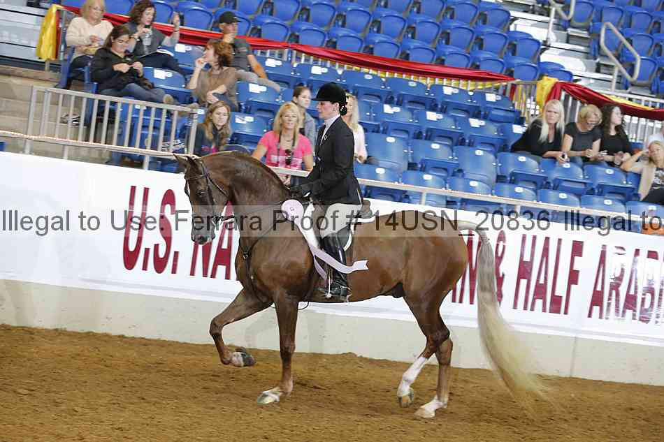 Proof 14usn_20836