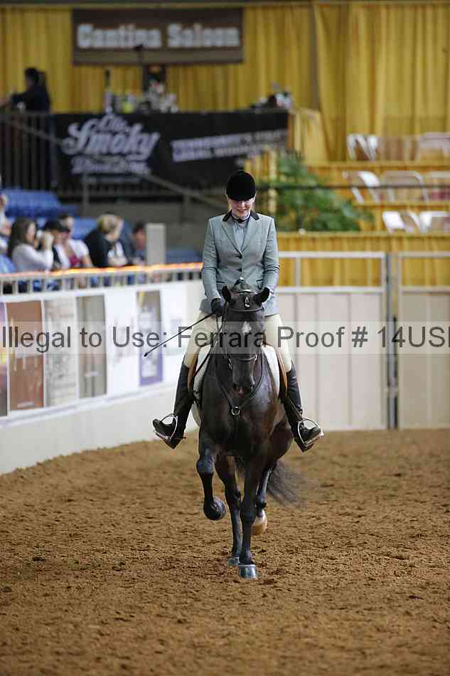 Proof 14usn_20841