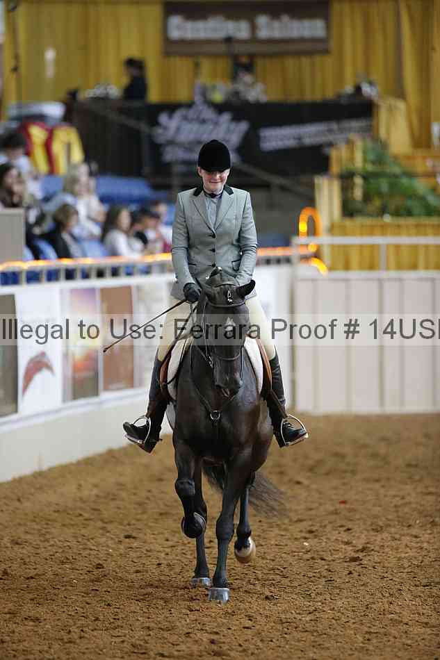 Proof 14usn_20842