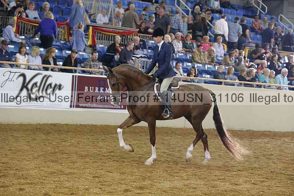 Proof 14usn_31106