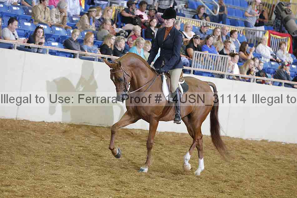 Proof 14usn_31114