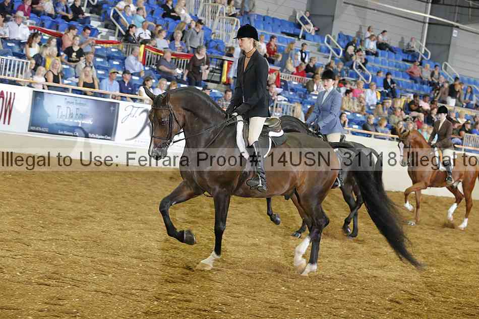 Proof 14usn_31118