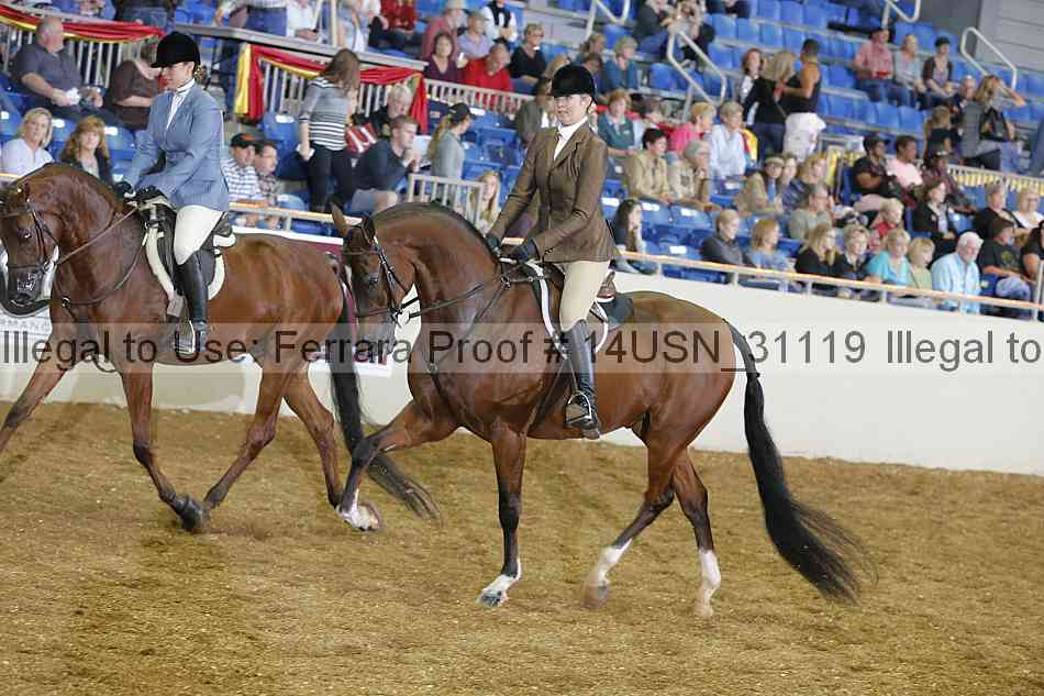 Proof 14usn_31119