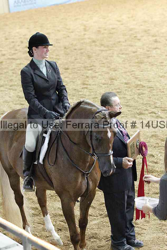Proof 14usn_31140