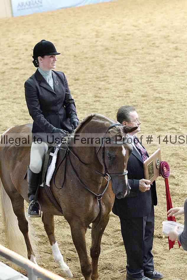 Proof 14usn_31141