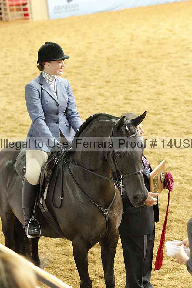 Proof 14usn_31151