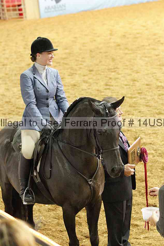 Proof 14usn_31152