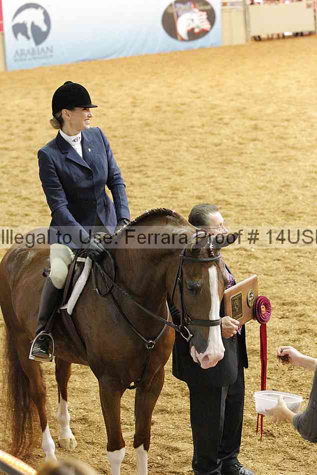 Proof 14usn_31156