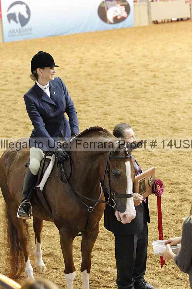 Proof 14usn_31157
