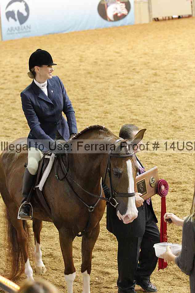 Proof 14usn_31158
