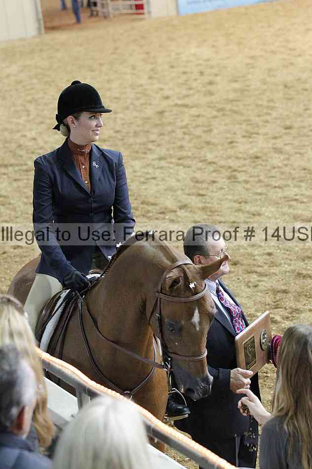 Proof 14usn_31162