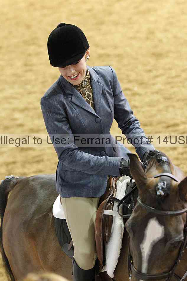 Proof 14usn_31173