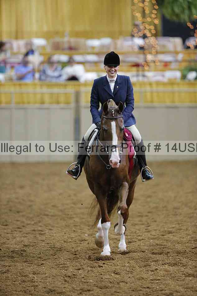 Proof 14usn_31175