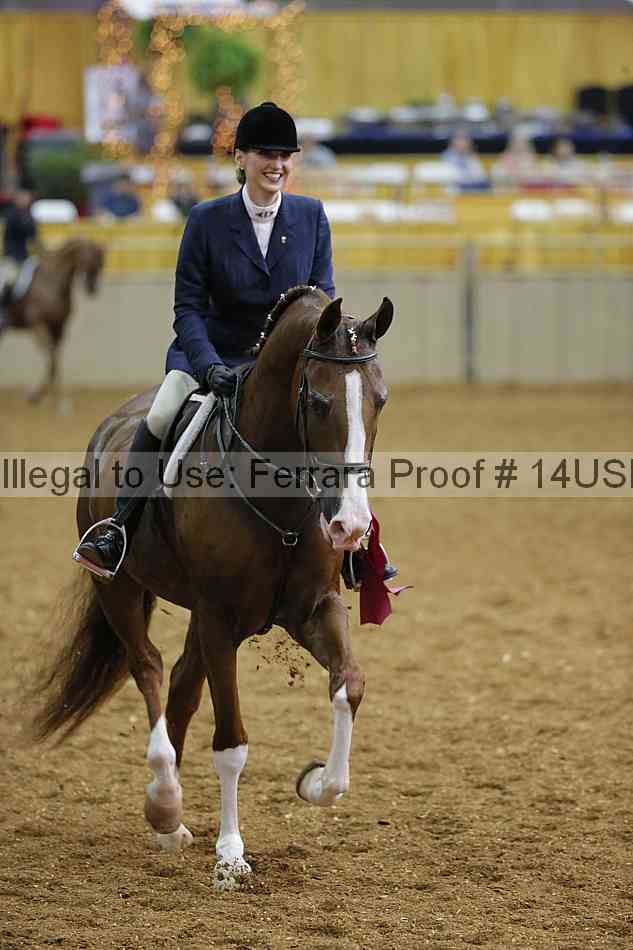 Proof 14usn_31176