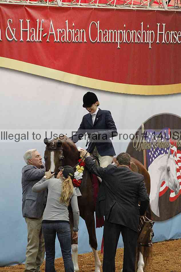 Proof 14usn_31185