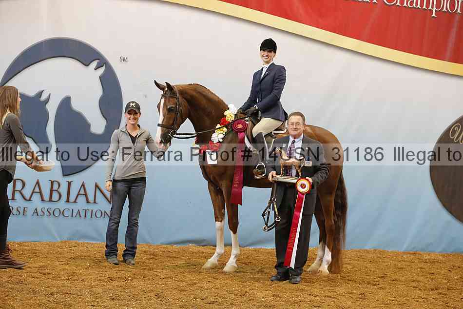 Proof 14usn_31186