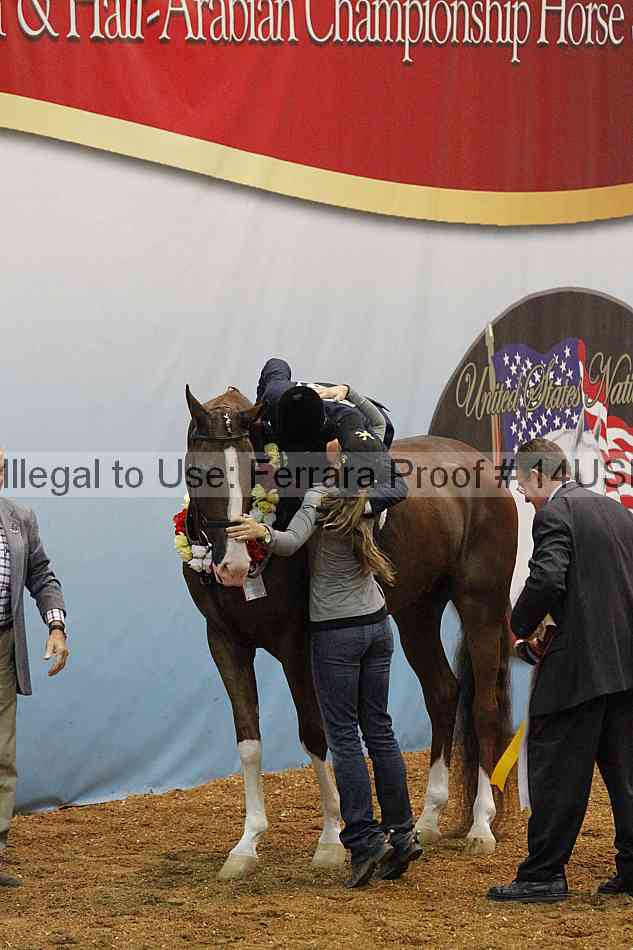 Proof 14usn_31187