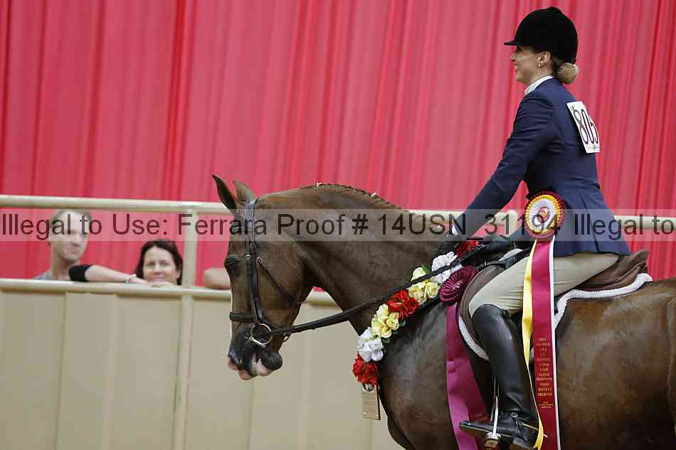 Proof 14usn_31194