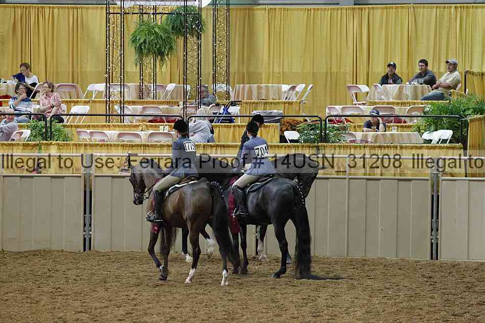 Proof 14usn_31208