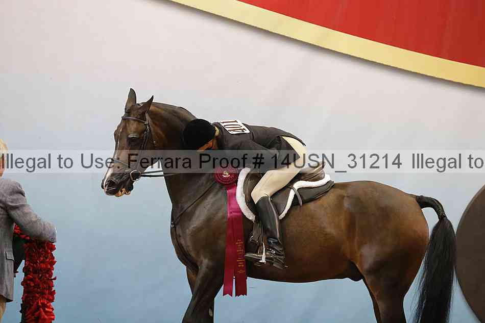 Proof 14usn_31214