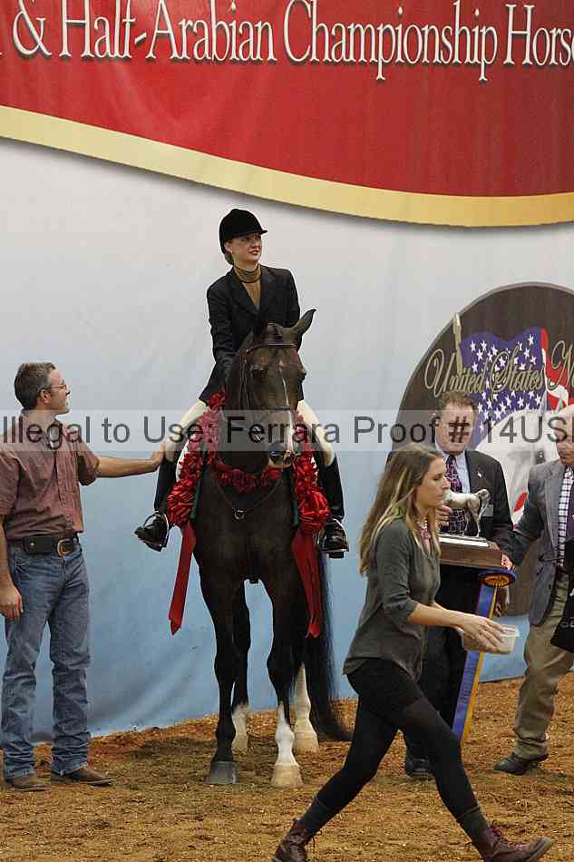 Proof 14usn_31229