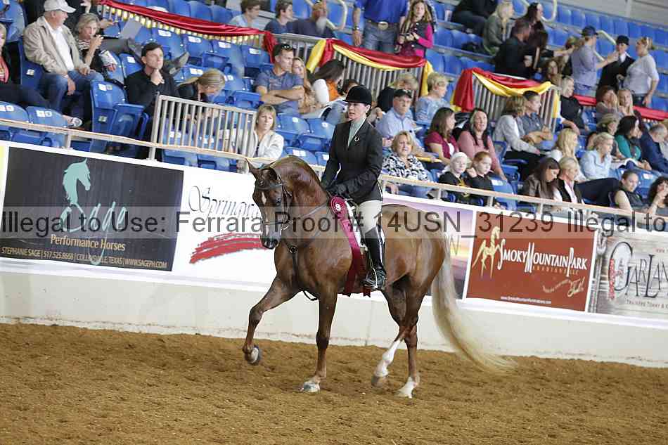 Proof 14usn_31239