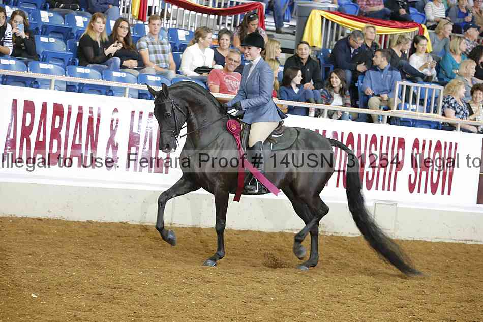 Proof 14usn_31254