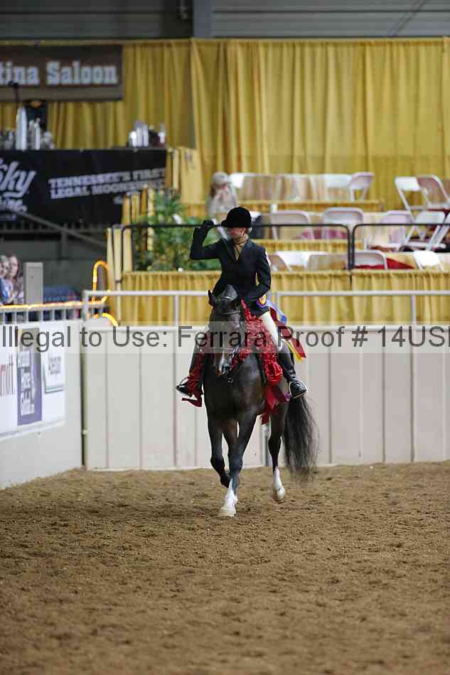 Proof 14usn_31294