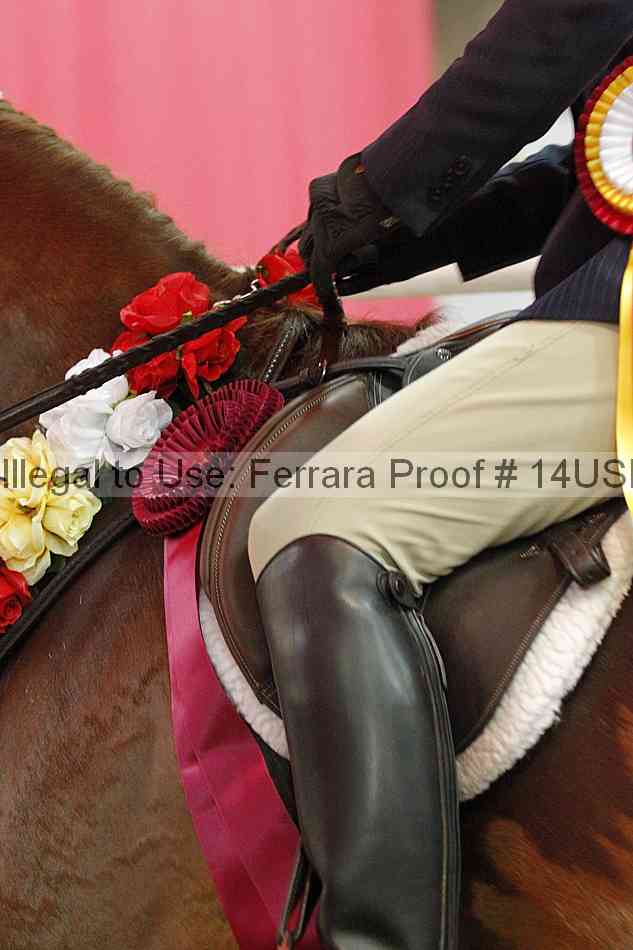 Proof 14usn_31301