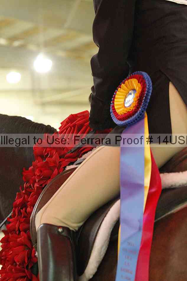 Proof 14usn_31321