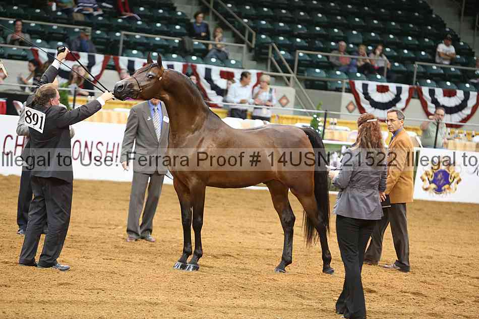 Proof 14usn_21522