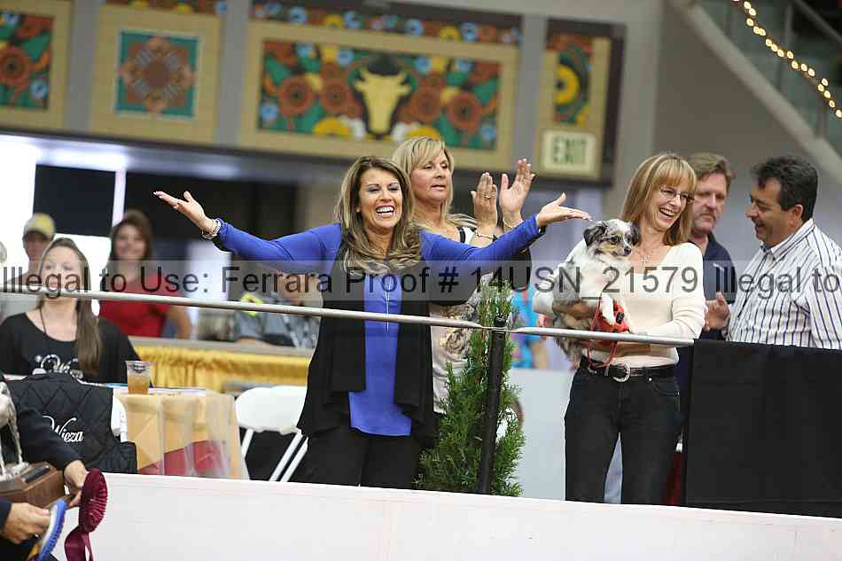 Proof 14usn_21579