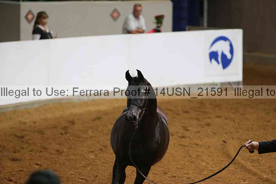 Proof 14usn_21591
