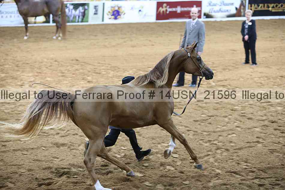 Proof 14usn_21596
