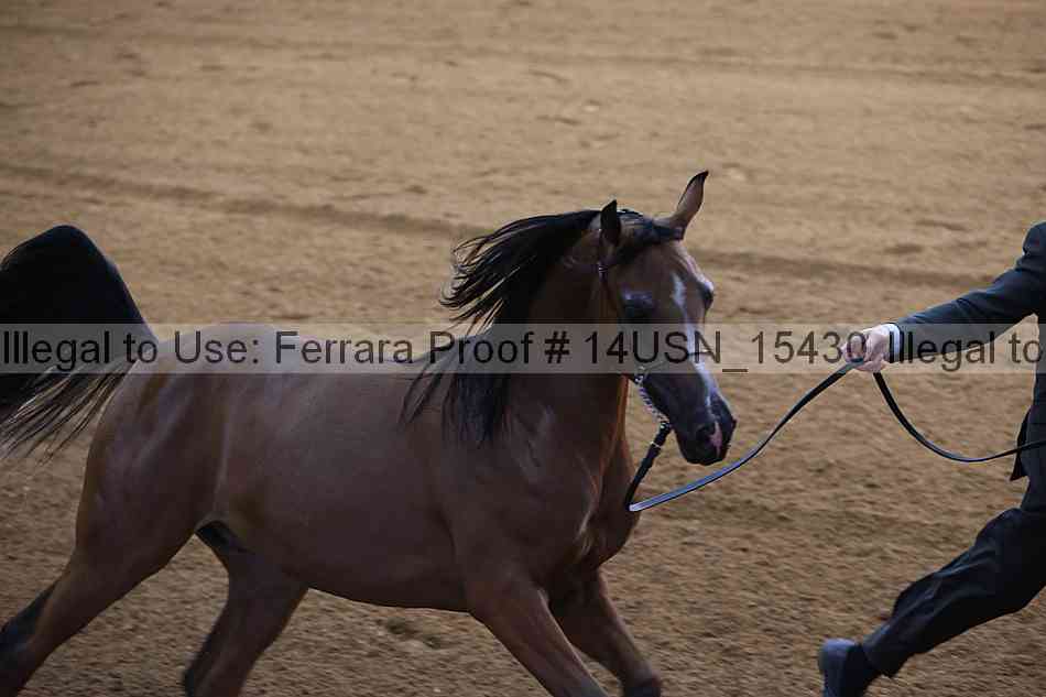 Proof 14usn_15430