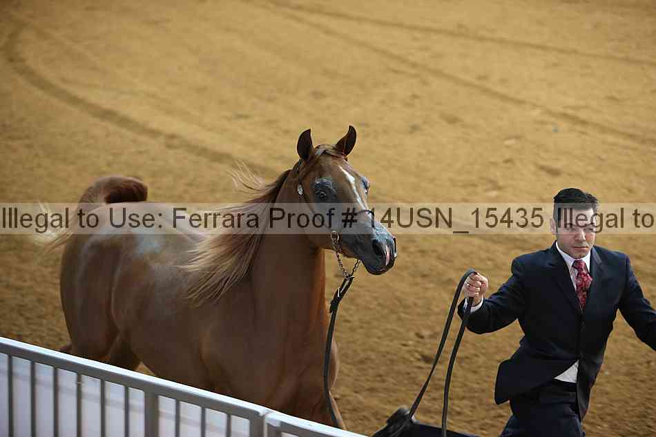 Proof 14usn_15435