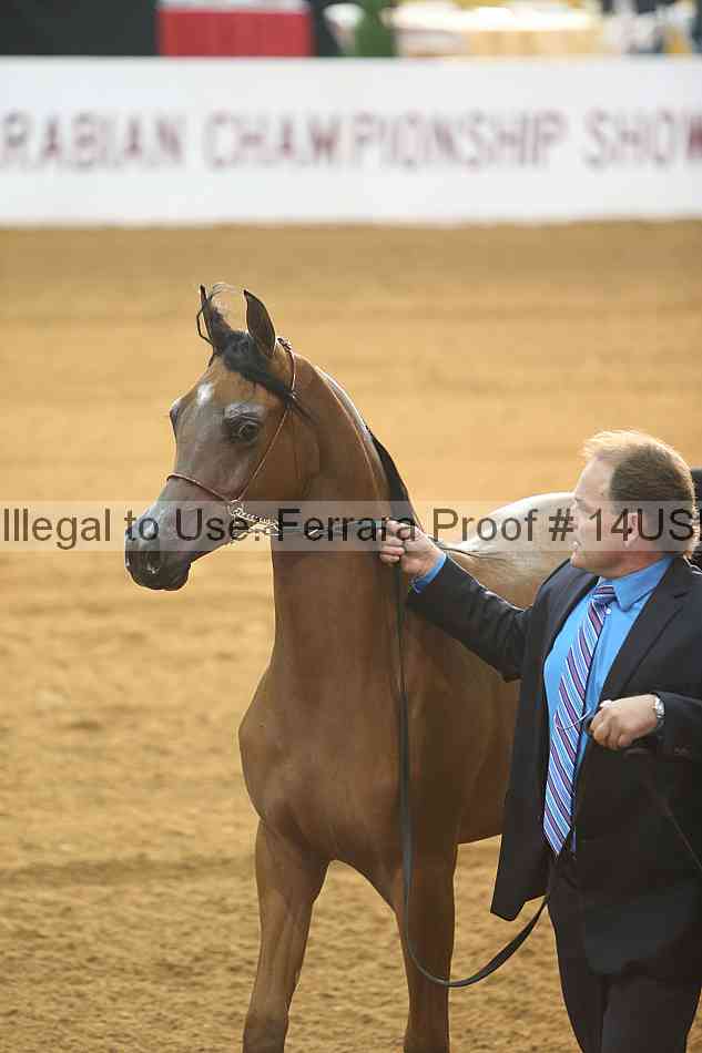 Proof 14usn_15443