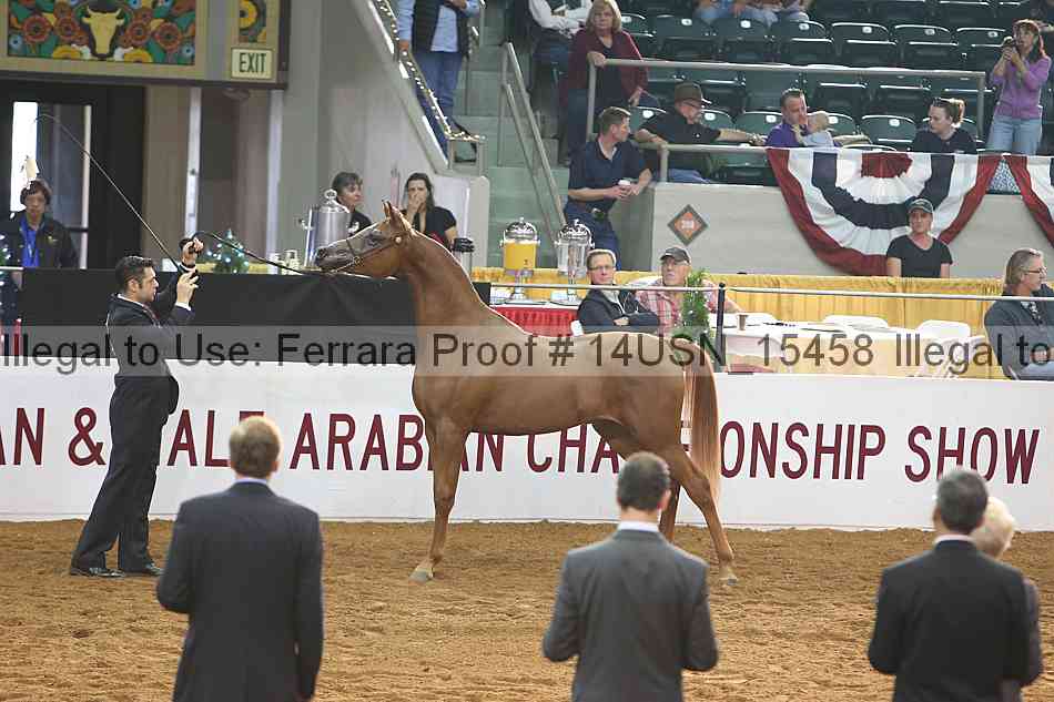 Proof 14usn_15458