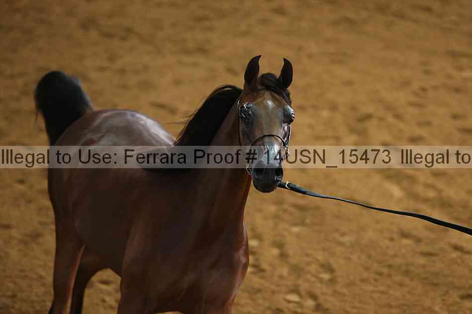 Proof 14usn_15473