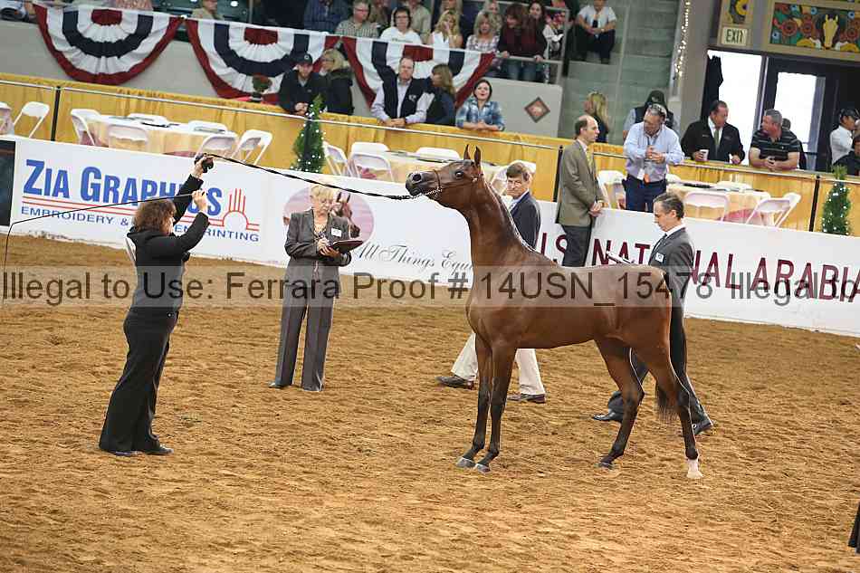 Proof 14usn_15478