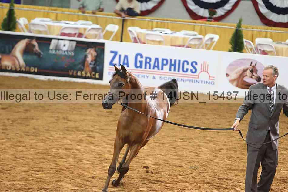 Proof 14usn_15487