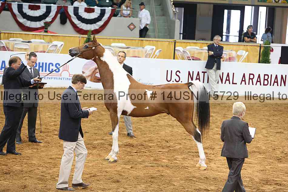 Proof 14usn_15729