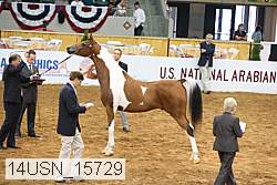 14usn_15729 proof