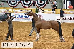 14usn_15734 proof